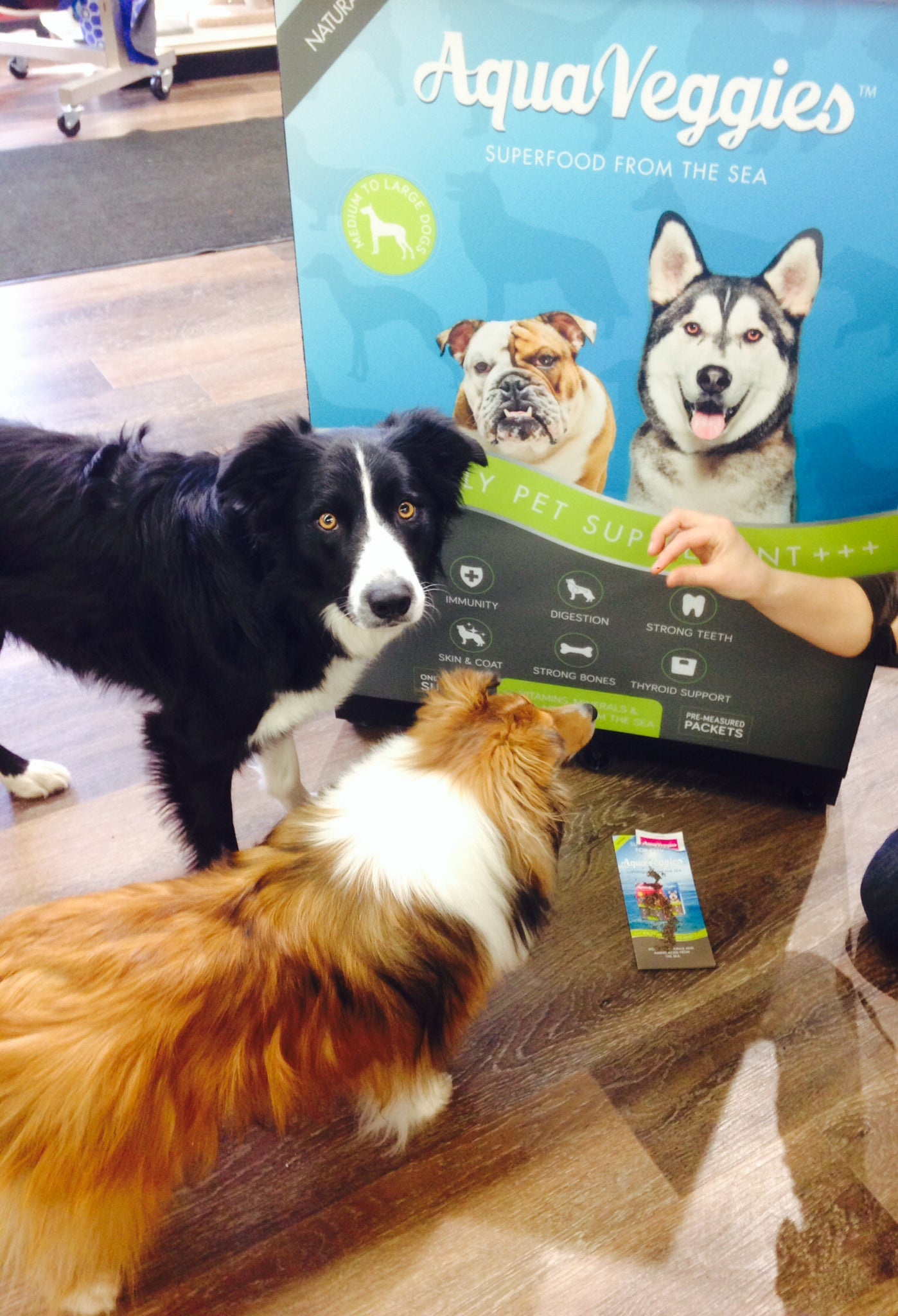 Superfood from the Sea for Pets (for medium & large dogs)
